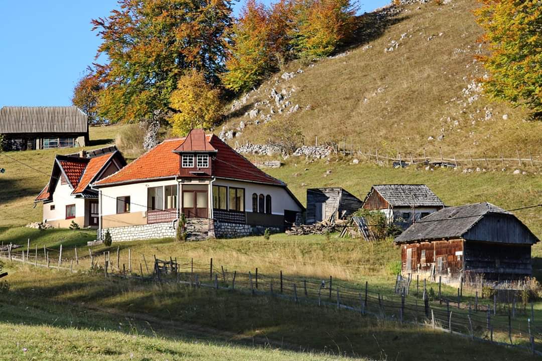 Adrian, gazda